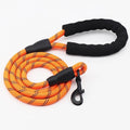 SafeWalk™ – Guia Premium Antiderrapante para Cães (Mais Controle e Conforto nos Passeios)